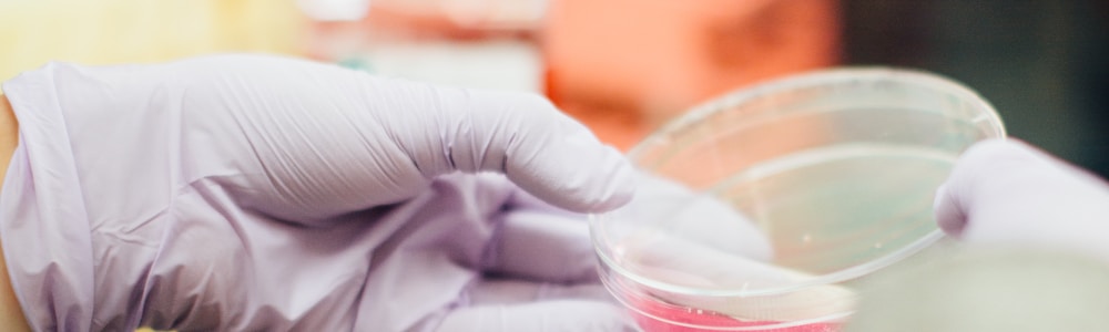 FDA Approvals and Rejections Shape Pharmaceutical Landscape in July